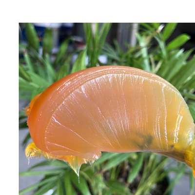 NSF aprobó aceite base de alta viscosidad grasa de calcio de color amarillo y asequible
