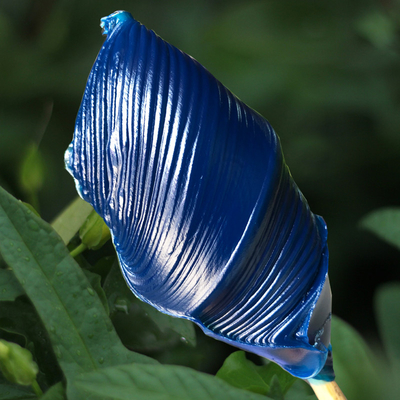 Función de aumento de la lubricidad de la cadena de engranajes del rodamiento con una rueda de grasa azul transparente