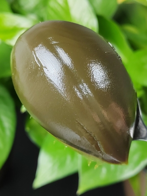 Grasa de rodamiento de aceite base de alta viscosidad para rodamiento de molinos de lubricación de rodamientos Color verde